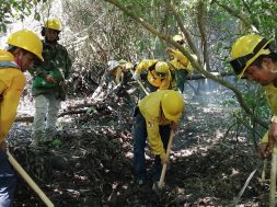 Chiapas fue el sexto estado con más incendios en 2019