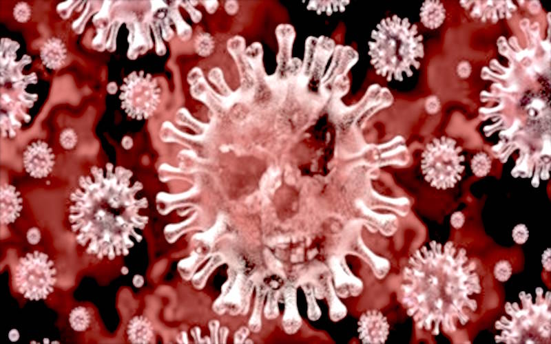 Política contra el coronavirus / De Primera Mano