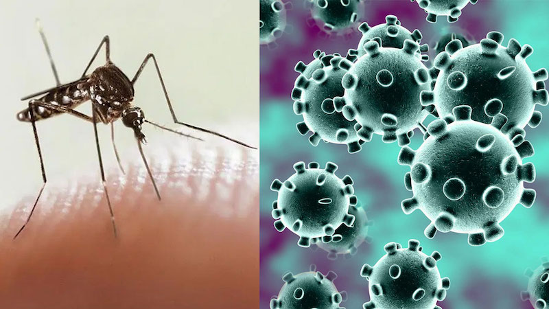 Tabasco, entre ‘coronavirus’ y dengue…y las redes… / De Primera Mano