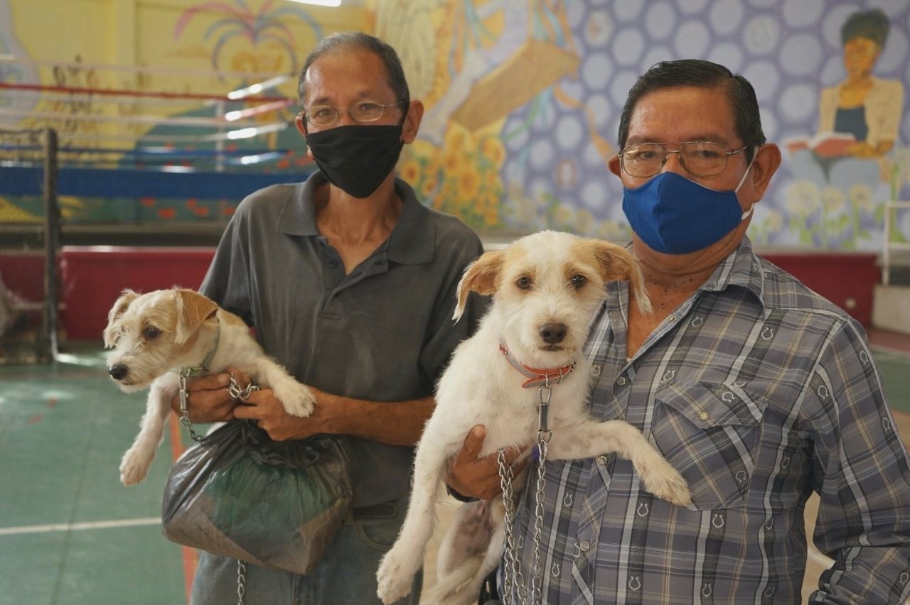Se aplicarán 60 mil vacunas antirrábicas para mascotas en Tapachula