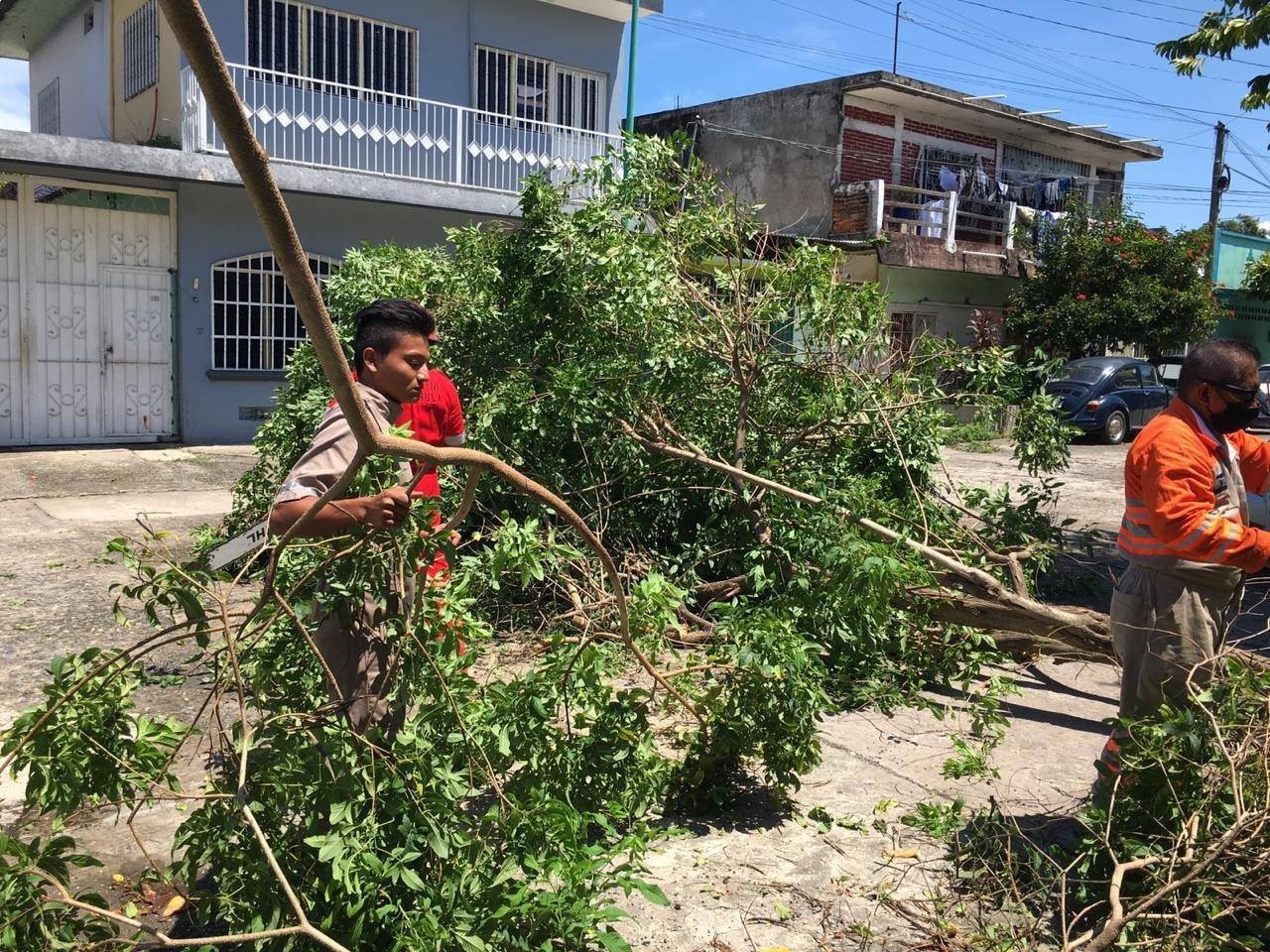 Suman 18 viviendas afectadas por la tormenta del jueves en Tapachula