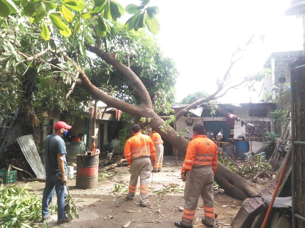 Continúa PC atendiendo viviendas afectadas por lluvias