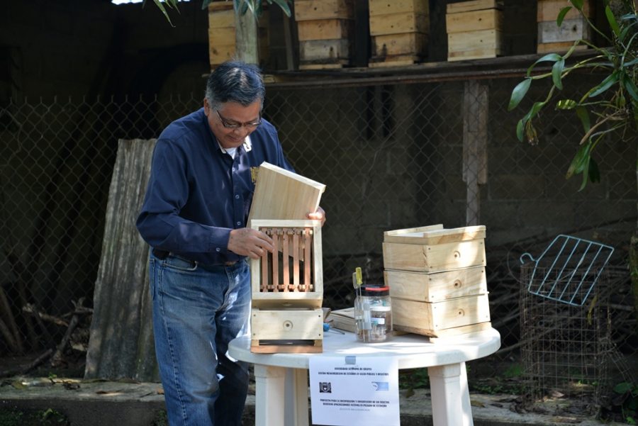 Investigación UNACH sobre abejas del Soconusco se publicará en revista internacional