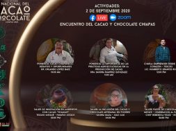 Día nacional cacao