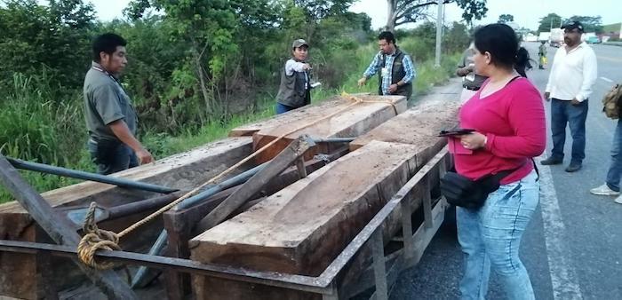 Continúan detenciones de personas que transportan madera ilegal