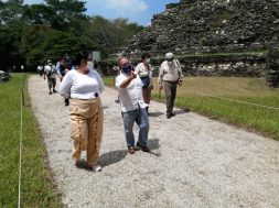 Palenque covid