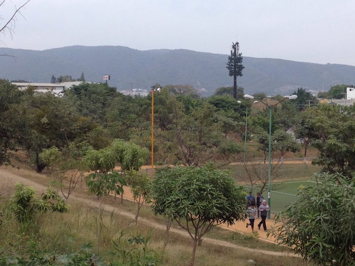 Realizan jornada de reforestación del parque La Herradura en Tuxtla