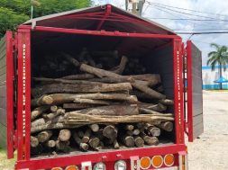Transporte madera