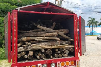 Transporte madera