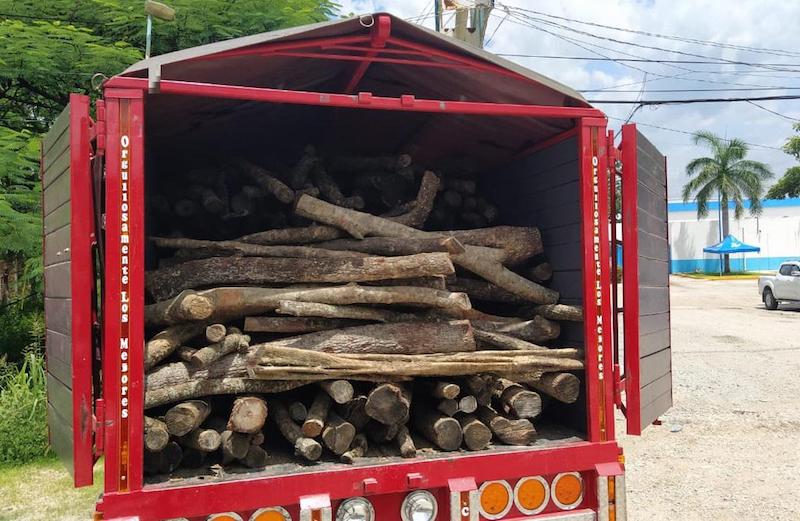 Detienen a siete personas por transportar madera ilegalmente