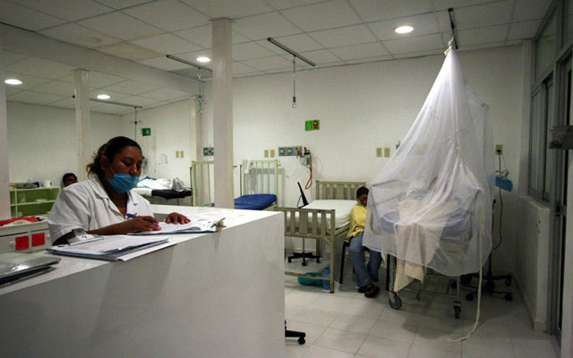 Suman en Chiapas 167 casos y cuatro muertes por dengue