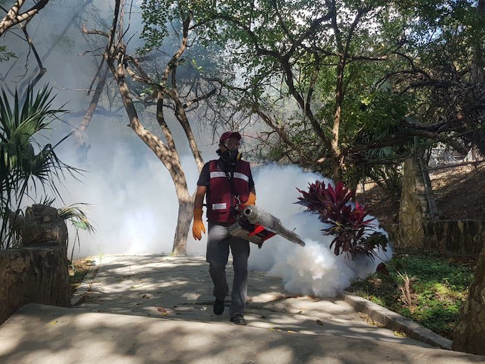 Refuerzan fumigación contra el dengue en Tuxtla