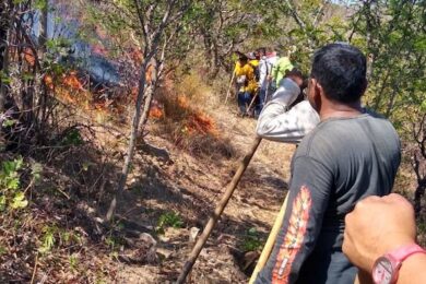incendios forestales Chiapas