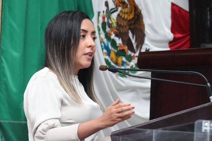 Pide la diputada Zoily Linaloe Nango Molina a la SCJN, un resolutivo justo del conflicto entre Chiapas y Oaxaca