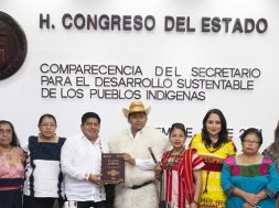 Comparecencia Secretaría para el Desarrollo de los Pueblos Indígenas jmc45