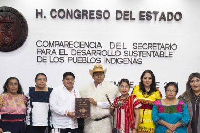 Comparecencia Secretaría para el Desarrollo de los Pueblos Indígenas jmc45