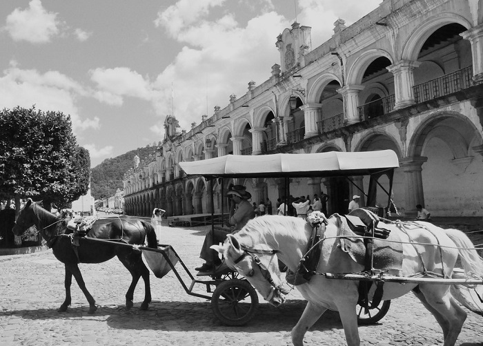 Alvarado, una historia de caballos