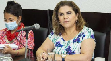 diputada María De los Ángeles Trejo Huerta