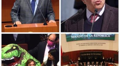 senadores mexico