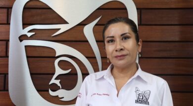 imss luisa rodea pimentel