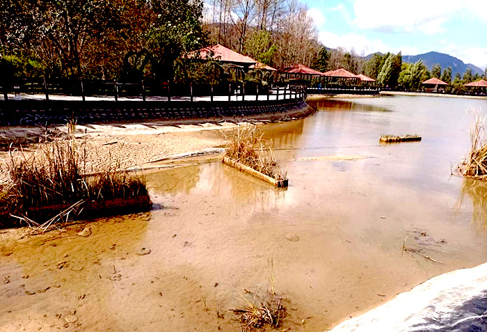 Agonizan humedales en San Cristóbal de Las Casas / En la Mira – Alfaro  Noticias