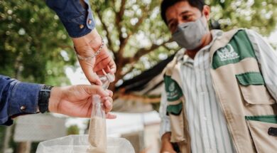 IMSS PALUDISMO MALARIA