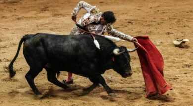 corridas de toros