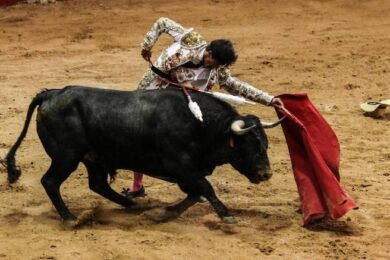 corridas de toros