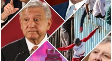 amlo