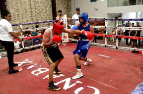 Boxeo 1