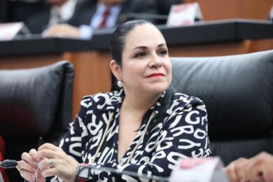 senadora Mónica Fernández