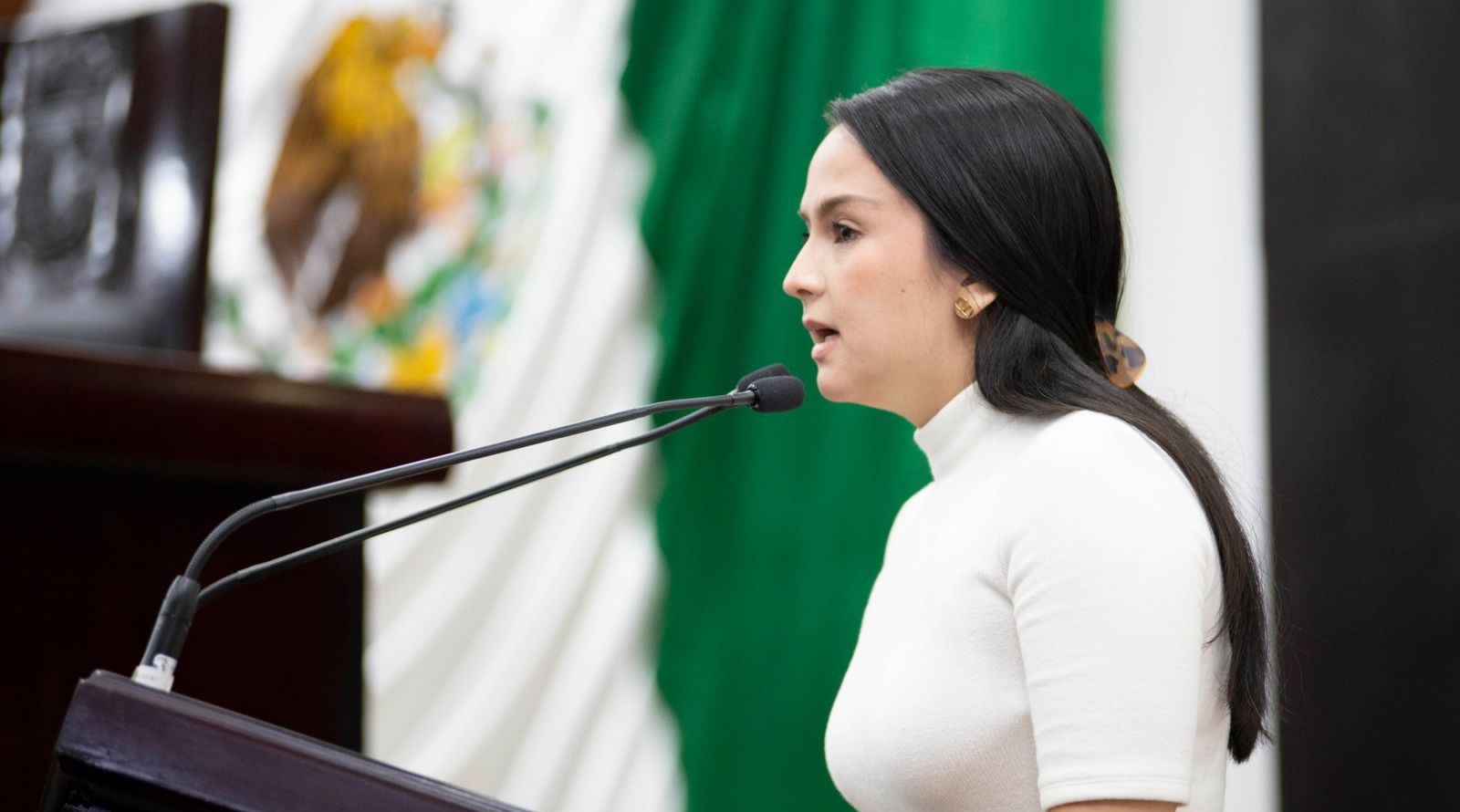 Por una Nueva Ley General de Juventud”: Flor Esponda