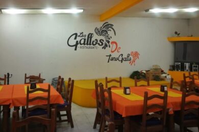 tono de gallos