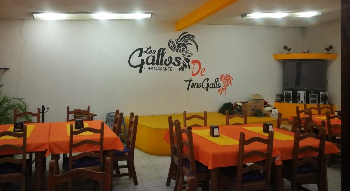 Nostalgia de Tono Gallos / Ladera del Cañón del Sumidero