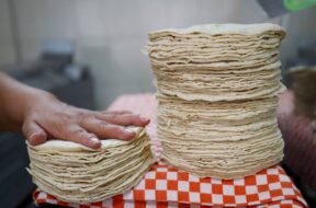 Tortillas a precio estable Maseca no aumentará precios en 2024 confirma AMLO