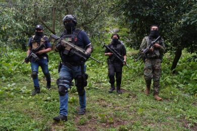 entrenamiento cjng