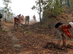 Sequías y incendios forestales amenazan la seguridad alimentaria chiapaneca