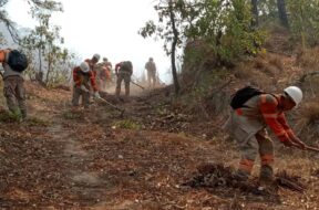 Sequías y incendios forestales amenazan la seguridad alimentaria chiapaneca