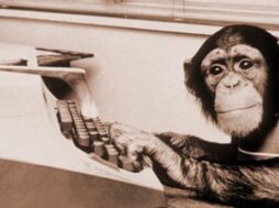chimpanse mono