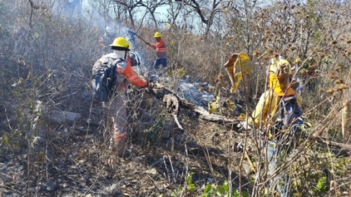 Se mantiene coordinación interinstitucional para prevención y combate de incendios