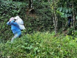 Advierten sobre reducción de jornaleros agrícolas en la frontera sur