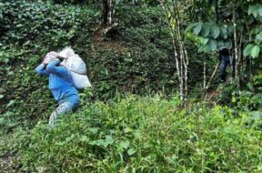 Advierten sobre reducción de jornaleros agrícolas en la frontera sur