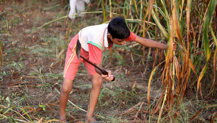 Chiapas ocupa el segundo lugar en trabajo infantil