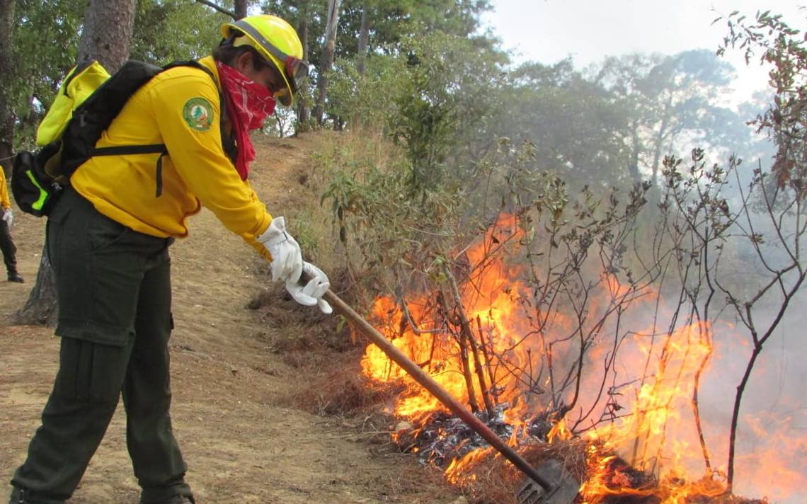 CONAFOR reporta 15 incendios forestales sin contener