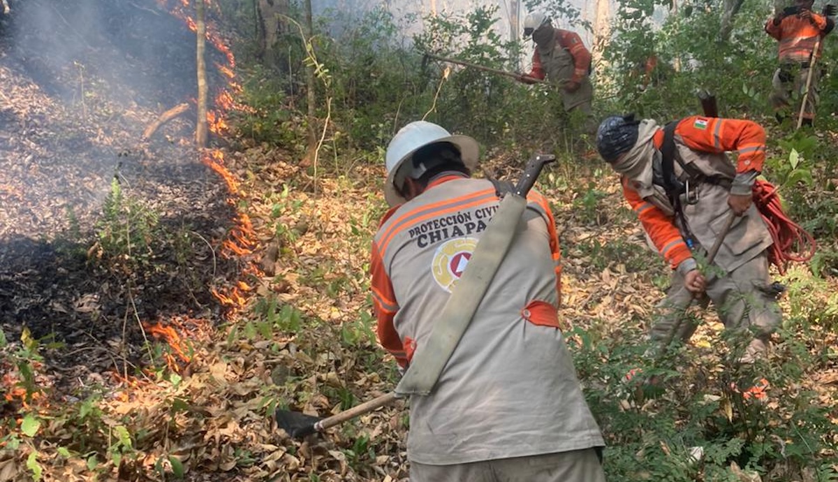 En comparación con años anteriores, en Chiapas los incendios se mantienen a la baja