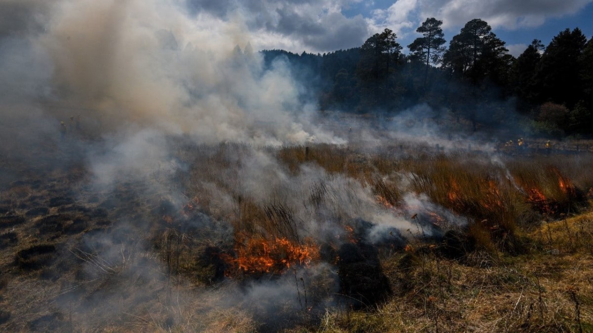 Incendios forestales amenazan áreas protegidas en Chiapas