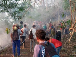 Frayba violencia