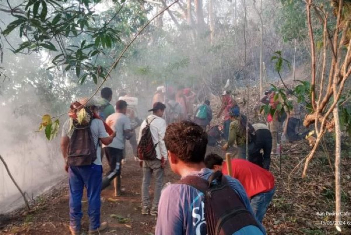 Frayba exige acciones concretas ante masacres por violencia del crimen organizado