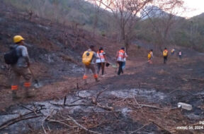 Incendios Chiapas