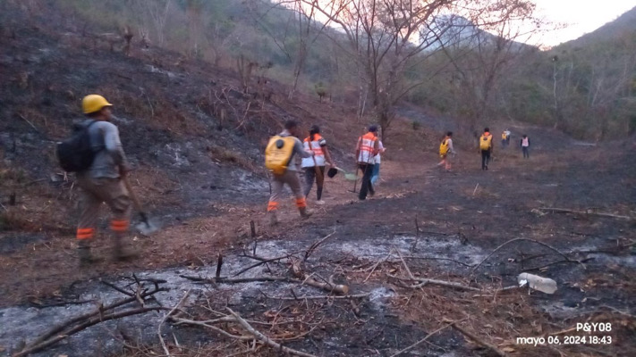 En Chiapas se mantiene el combate de incendios para proteger el medio ambiente